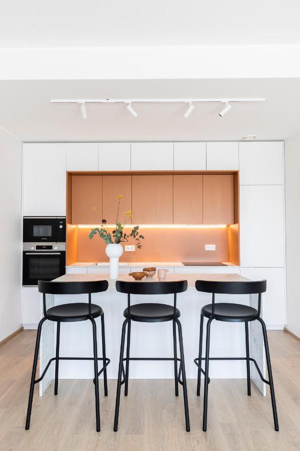Kadriorg Plaza 2 Bedroom Free Parking Ταλίν Εξωτερικό φωτογραφία