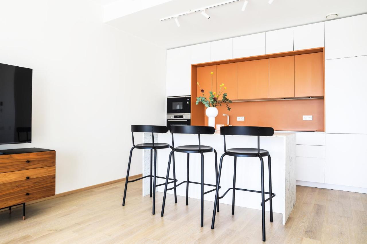 Kadriorg Plaza 2 Bedroom Free Parking Ταλίν Εξωτερικό φωτογραφία